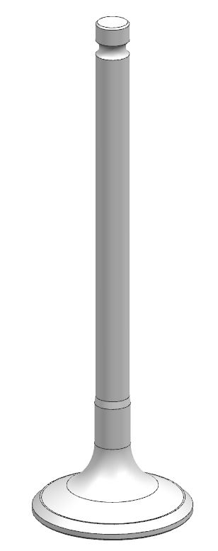 Engine valve